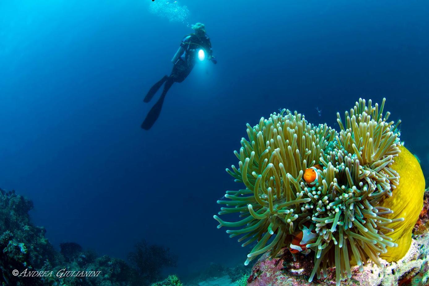 ซันเซ็ต โคฟ บีช แอนด์ ไดฟ์ รีสอร์ต Hotel Romblon ภายนอก รูปภาพ